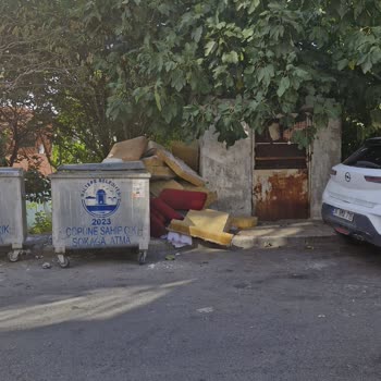 Maltepe Belediyesi Çöp Konteynerlerinin Etrafındaki Koku Ve Sinek Sorunu