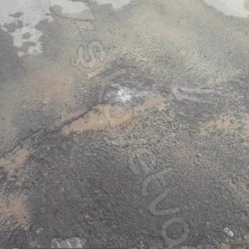 İzmir Büyükşehir Belediyesi Ayda Bir Su Patlağı