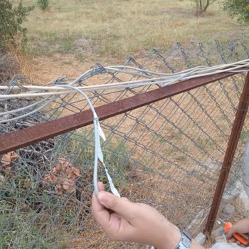Gdz Elektrik Dağıtım Tarlada Ağaçlara Borulara Ve Kablolara Zarar Vermiştir