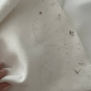 Nafide Wedding Düğün Öncesi Bindallı Kabusu Tadilat Ve Temizlik Sorunları