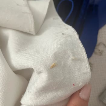 Nafide Wedding Düğün Öncesi Bindallı Kabusu Tadilat Ve Temizlik Sorunları