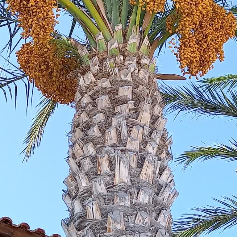 Denizkızı Otel Otel Deneyimi Değerlendirmesi