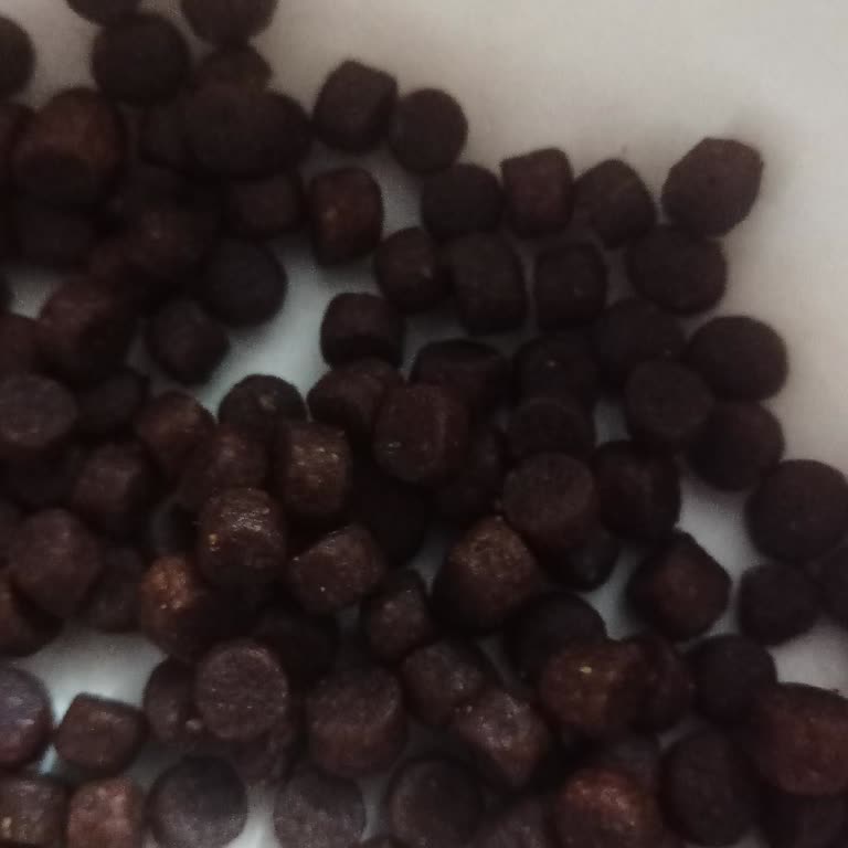 Petzz Shop Dan Aldığım Lavital Somonlu Yavru Kedi Maması Bozuk Mu