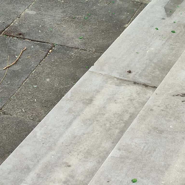 Mehmet Akif Ersoy İlkokulu Esenler Temizlik Konusuna Önem Vermemesi