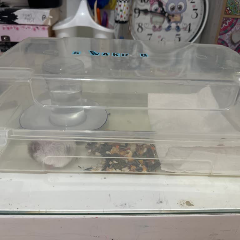 Zoo Pet Shop (Kadıköy) Bu Firma Dürüst Davranmıyor, Yalan Söylüyor.