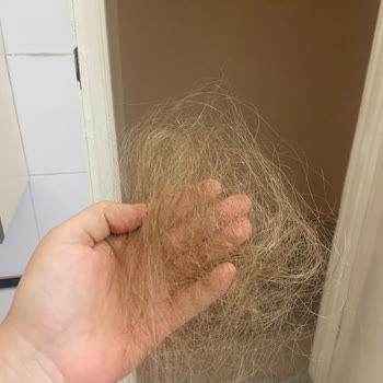 Hairbuy.org Kalitesiz Kaynak Saç Ve İlgisiz Satıcı Sorunu