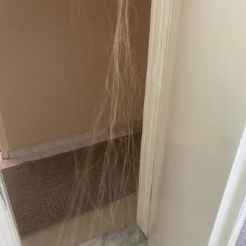 Hairbuy.org Kalitesiz Kaynak Saç Ve İlgisiz Satıcı Sorunu