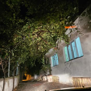 Tavas Belediyesi Hırka Mahallesi Şikayet