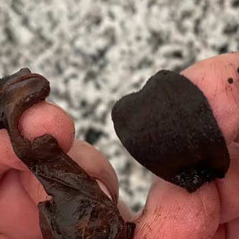 Halk Gıda Halk Narita Vişne Meyveli İçecek