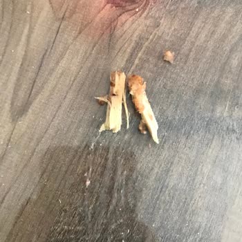 BİM'den Aldığım Bazlama İçinden Çıkan Odun Parçaları