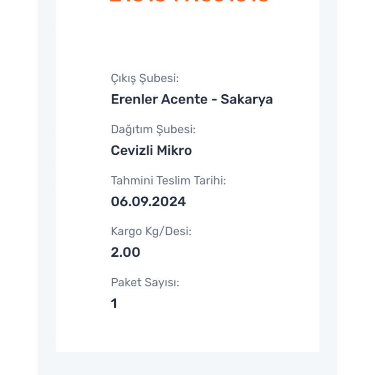 Sürat Kargo Cevizli Mikro Şubesi