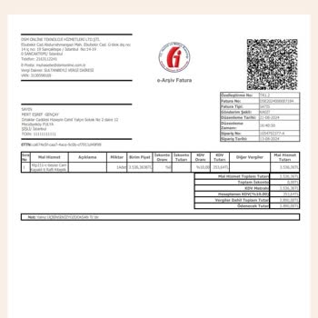 Sallanan Ve Kurtulamayan Decorex Kitaplık