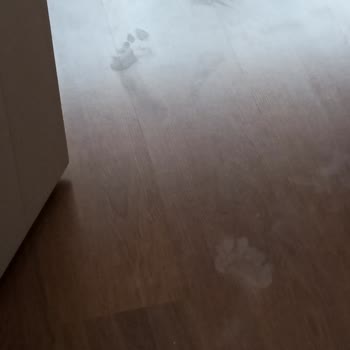 Yıldız Entegre Pişmanlıktır Paranız Çöp Oluyor