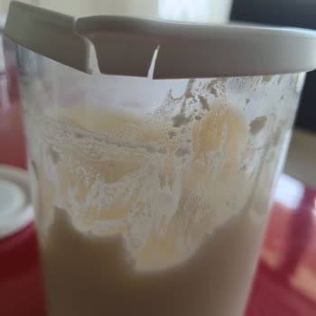 Lav Duo Saklama Kabı Kapaklarının Çatlaması