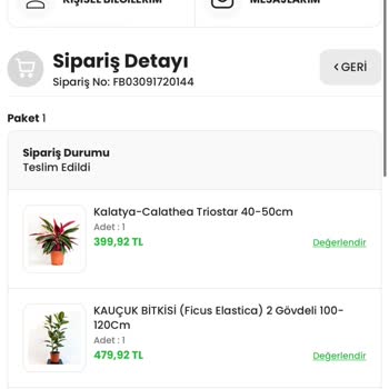 FidanBurada Farklı Boyutlarda Çiçek