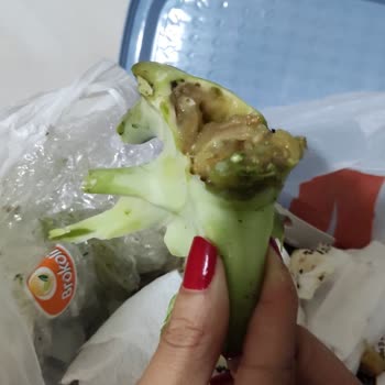 Migros Sipariş Şikayeti Çürük Ürün