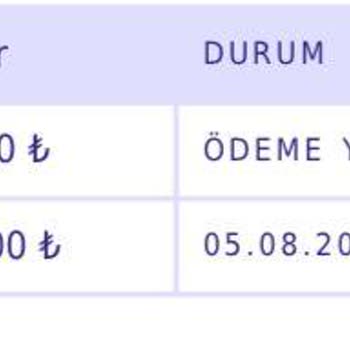 Tatillio Ücret İadesi Yapmadı