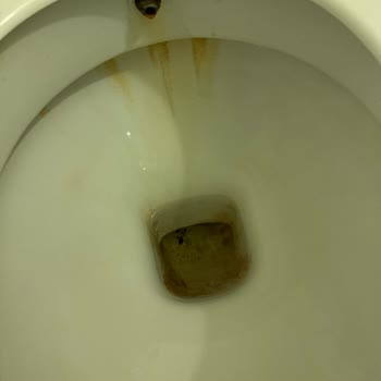 Nex Royal Beach Hotel Jolly Tur Ve Nex Royal Beach Beldibi Otel Şikayet