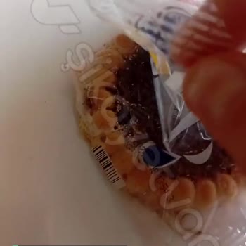 Eti Cin Portakal Soslu Bisküvi Böcek Yuvası