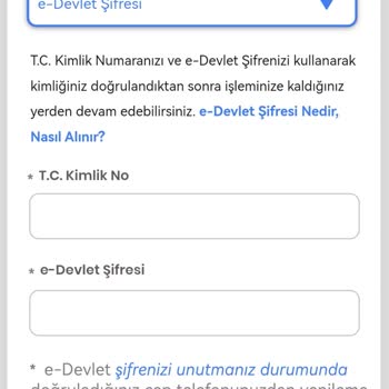 İşin Olsun Yanıltıcı E-Devlet Giriş Sayfası İle Karşılaştım