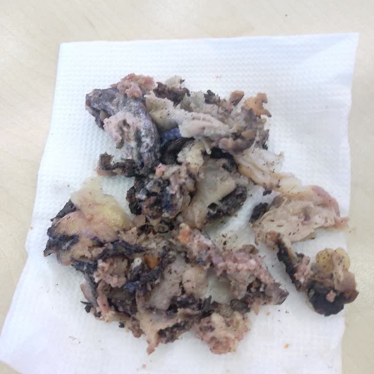 Arby's De Biftek Sandviçten Kömürleşmiş Et Dışı Atıklar Çıkması