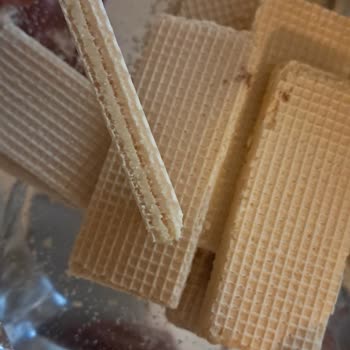 Çizmeci Gıda Wafer Masterdan Sinek Çıktı
