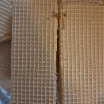 Çizmeci Gıda Wafer Masterdan Sinek Çıktı