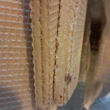 Çizmeci Gıda Wafer Masterdan Sinek Çıktı