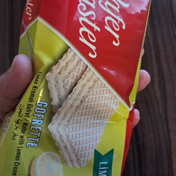 Çizmeci Gıda Wafer Masterdan Sinek Çıktı