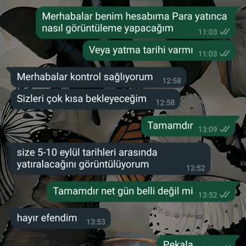 Sevgi Vakfı (Burs Başvuru) Vakıf Bağış Başvurusu Sonrası Bilgi Güvenliği Endişesi