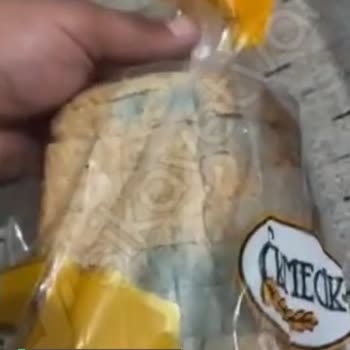 Başak Gıda Ekmecik Küflenmiş Bayat Ekmek