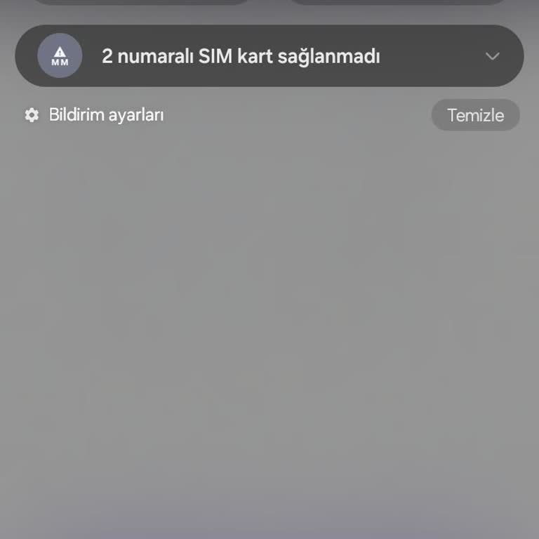 Samsung Sim Kart Algılanamadı Hatası