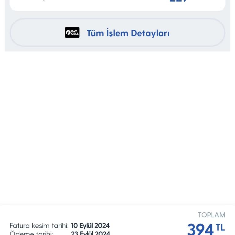 Vizyon Elektronik Para Para İade Talebi