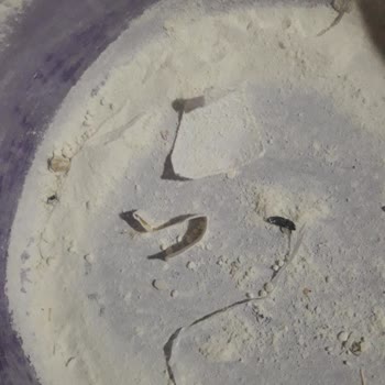 Kaleiçi Un Kalecik Undan Çıkanlar