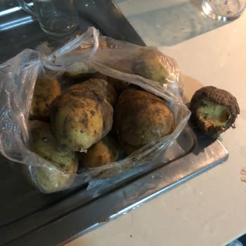Migros Sanal Market Çürük Ürün Gönderiyor