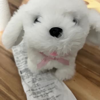 Toyzz Shop Peluş Oyuncak Kalitesizliği Ve İade Sorunu