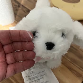 Toyzz Shop Peluş Oyuncak Kalitesizliği Ve İade Sorunu