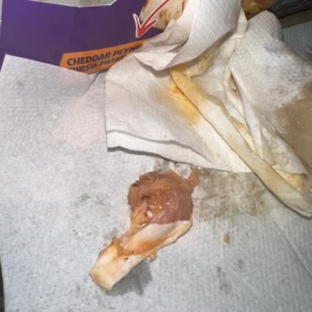 Maydonoz Döner Çiğ Tavuk Yedirilmesi.