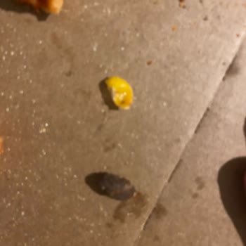 Domino's Pizzada Zeytin Çekirdeği Şoku!