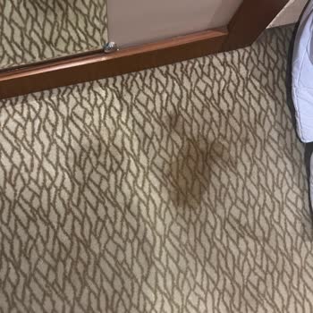 Otelfiyat.com (İdeal Tur) The Sign Otel Gördüğüm En Pis Otel