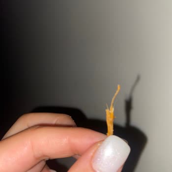 BİM Patito Cipsten Odun Çıktı Boğuluyordum