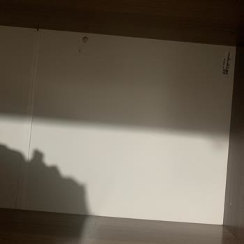 Kadircan Nakliyat (İzmir) Eşyalarımı Çöp Ettiler.