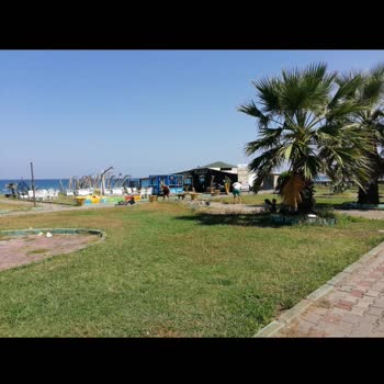 Kocaali Belediyesi Kocaali Portakal Cafe