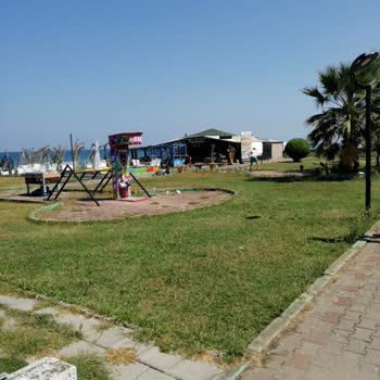 Kocaali Belediyesi Kocaali Portakal Cafe