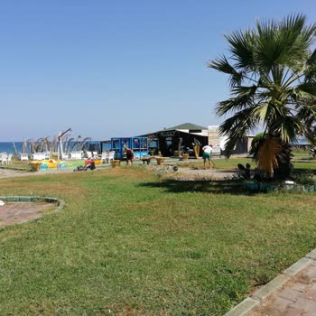 Kocaali Belediyesi Kocaali Portakal Cafe