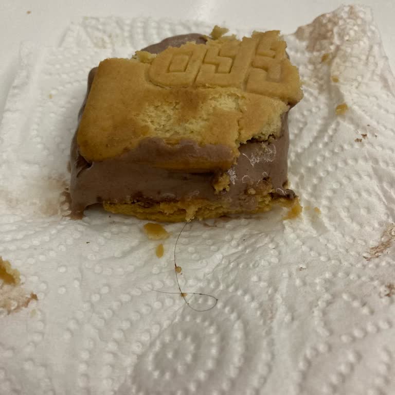 Algida Dondurmadan Kıl Çıktı