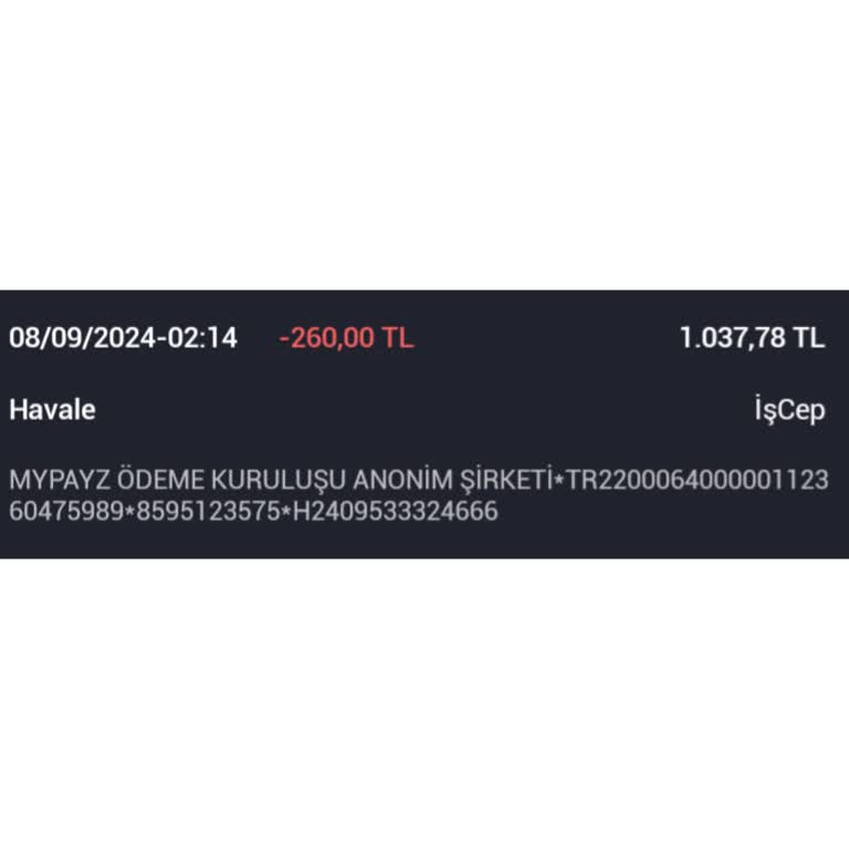 Mypayz Para Transferi Param Gönderilmiyor