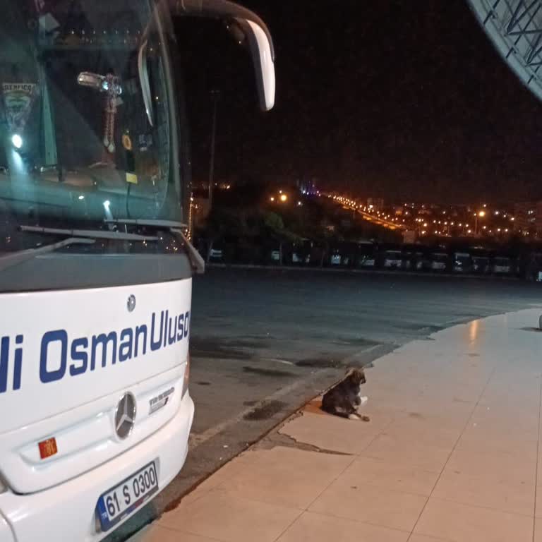 Ali Osman Ulusoy Samsun-İstanbul Otobüsünde Yaşanan Sorunlar Ve İlgisizlik