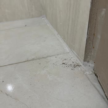 Jolly Tur'da Hayal Kırıklığı: Kötü Otel Deneyimi!