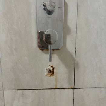 Jolly Tur'da Hayal Kırıklığı: Kötü Otel Deneyimi!